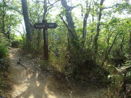 魚屋道のほうへ向かう