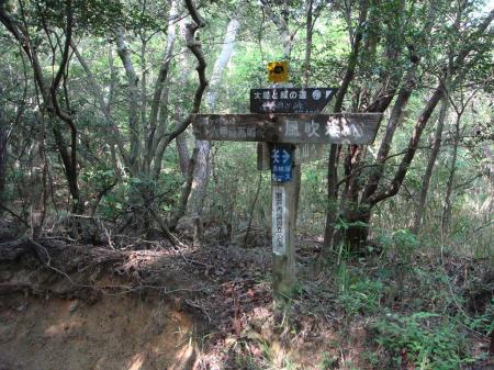 魚屋道へ出た。まだ時間あったので雨ヶ峠へ向かい東お多福山を目指す