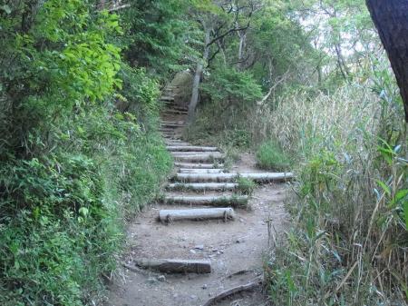 ここから雨ヶ峠までは10分程度の登りになる