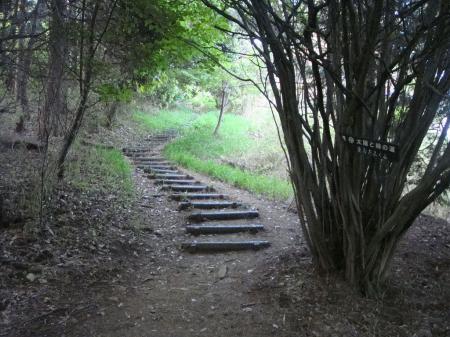 東お多福山を目指す