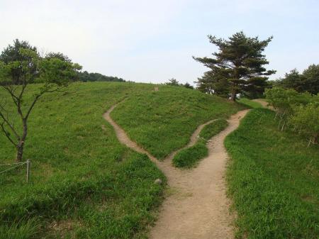 高原地帯に出た