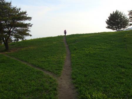 なんか絵になる