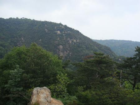 さっき登った荒地山の岩場