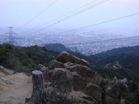 風吹岩から少し下ったところの樹林が切り倒されていた
