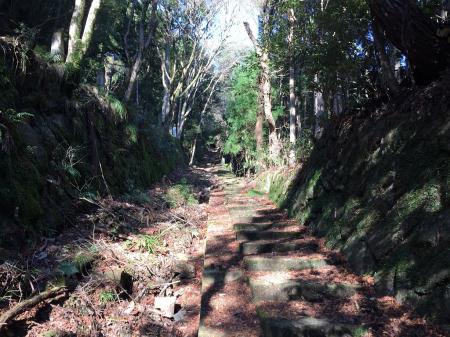 このような階段状になった道が続く