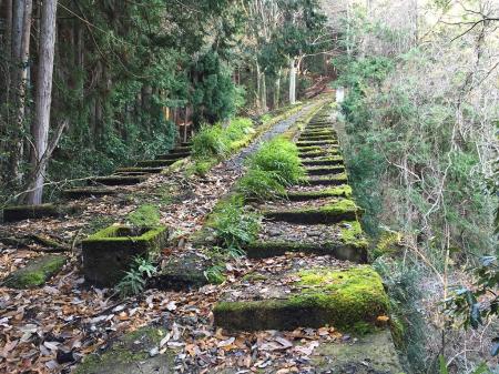 苔むした階段状の道