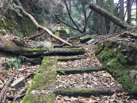 ところどころ木が倒れていてまたがないといけない