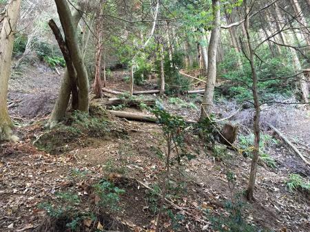 五号トンネルの巻きはじめはかなりの急登。踏み跡とトラロープがしてあった