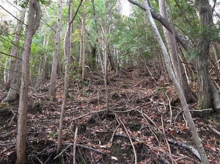 こんな感じに無理矢理登る