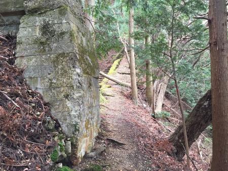 廃線跡がまた現れた