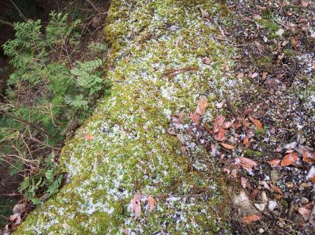 ちらほら雪があった