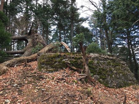 P745地点。石垣があり、中は水がたまっていた