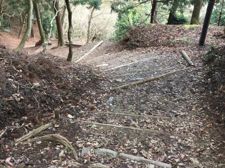 表登山道は階段だらけ。まるで金剛山の千早本道を思い出す
