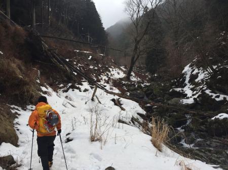 林道がやっと終わって登山道へ。ここまでが毎回長く感じる