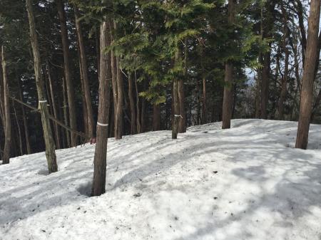 もう1つの尾根のピーク。こっちの尾根を下ると大又林道駐車場より1km手前のところにでてくるらしい
