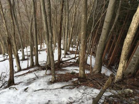 雪が完全に凍っているところも多々あった
