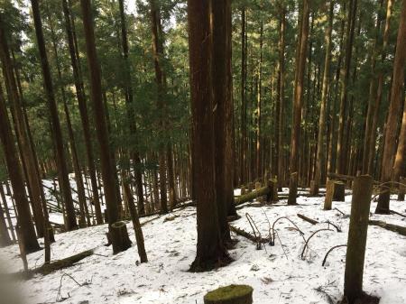 ここで真っ直ぐいきそうだが、こっちはすぐ先で尾根が終わる。左側に見えてる尾根が正解