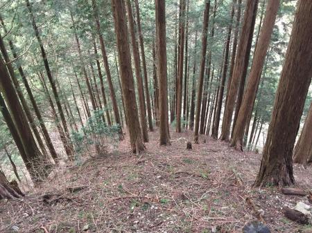 雪がすっかりなくなった