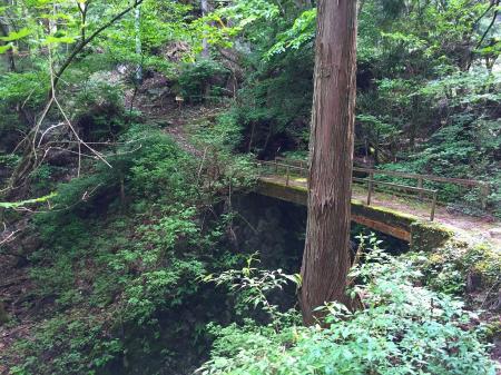 この橋をわたると分岐