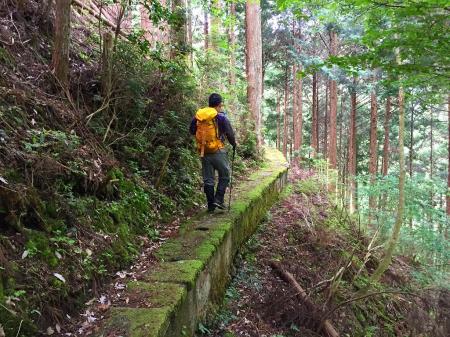 これ水路？と思いながら進んでいた