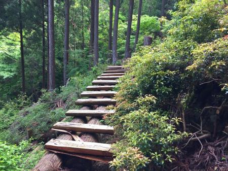 林業用につくられた橋。このまま林業道を進んでいきますが、進みすぎると行きすぎになります