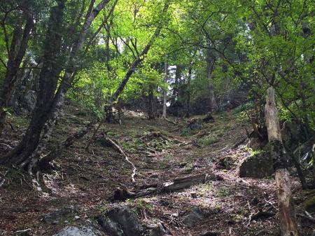 ここが最後の登りで一番キツかったところでした。ズルズル滑る急登。岩場の付近はルートが取りにくい。テープがあったので探しながら登ります