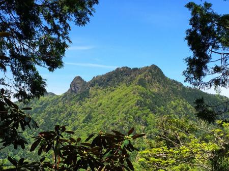 途中で大日岳と稲村ヶ岳が見えた。この迫力で見られるのはおそらくバリゴヤだけかもしれない