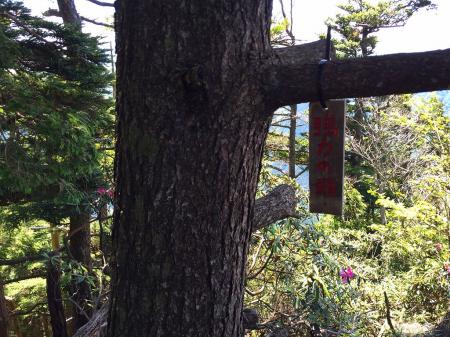 強力の頭に到着