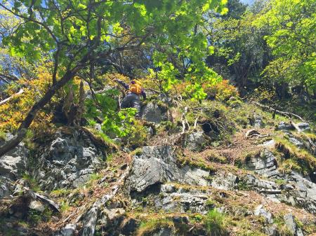 登り最初はルートがわからず直登しますがキツイ！