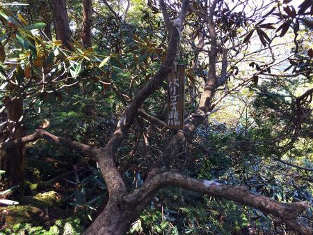 ちょっとわかりにくいところに新しい札があった