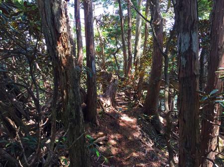 さあ下山します