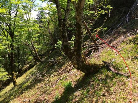 斜面をこのようにトラバースします