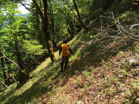 トラバースは結構な斜面で滑りやすかった