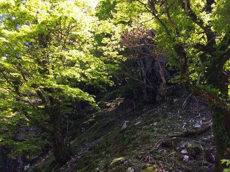 裏側のコルに到着したが、次のピークは岩場になっていたので登るの付加。をどう登ればよいのか考える