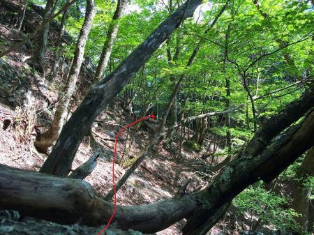 一か所、小ピークの巻きは左をとるが、ここのトラバースの斜面は結構、滑り易く滑落注意