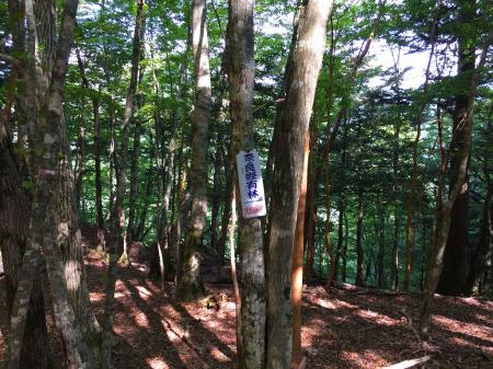 ここにきてはじめて看板がでてきたが「奈良縣」って県が昔の字だが、いつのものなんだ！？