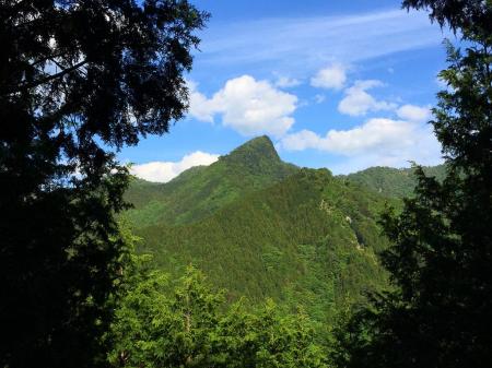 ラスト、樹林の間から綺麗に行者還岳が望める場所があった