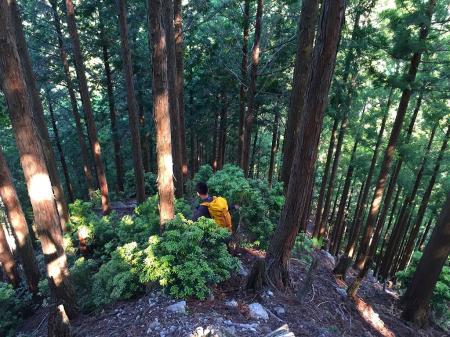もう下りもバテバテだが、このあたりから沢の音がした