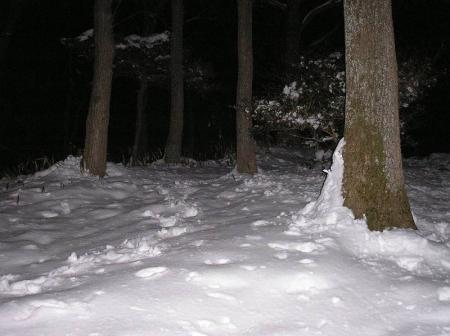 歩いたのは一人だけだと思うけど足跡は残っていた