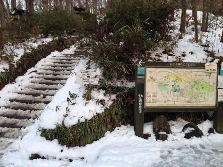 ぼくらの広場はここを登ればいいが、今回は旗立山へいくのでまっすぐ管理道を進む