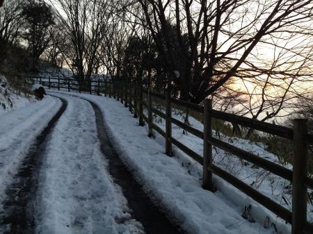 管理道は車の後がある