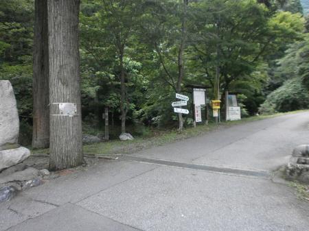 今日はこっちから降りてくることになる