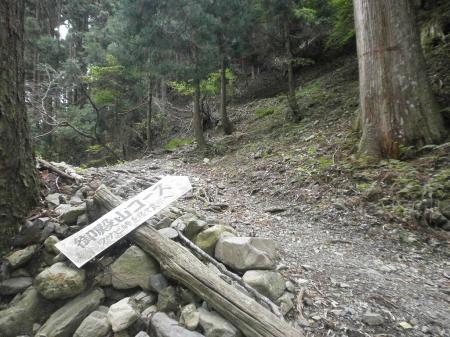 ここから入山となる