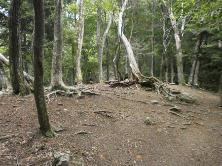 ここでやっと休憩ができる。そしてあともう一登りでP846