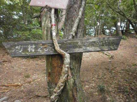 ここからの1.5kmはまあ楽勝。