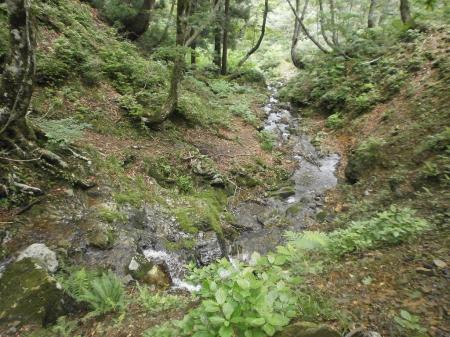 イブルキのコバまでの沢筋