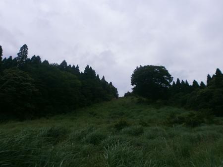 いつものスキーするところ。夏はこんな風になっている