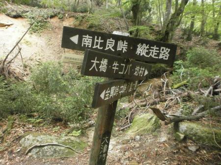 南比良峠との分岐 