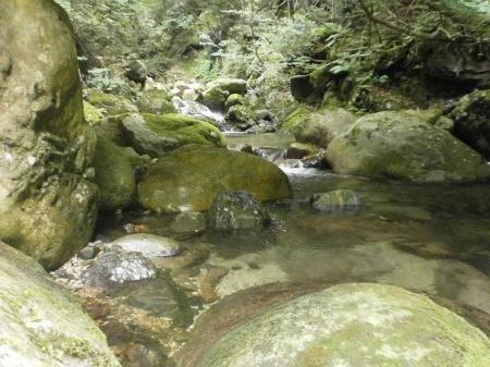 牛コバより少し道路を歩いたところに橋があり、そこに沢に下れる場所があり、そこに休める場所あり 