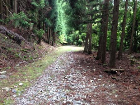 坊村むかってここからは林道